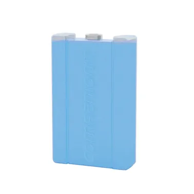 Companion Large 750ml Ice Brick