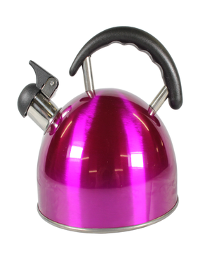 Tentworld Stainless Steel Whistling Kettle - 2.2L