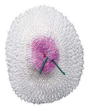 Companion Gas Mantle D2 Double Tie Large - 3 Pack