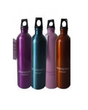 Sportztrek Bottle 500ml Stainless Steel